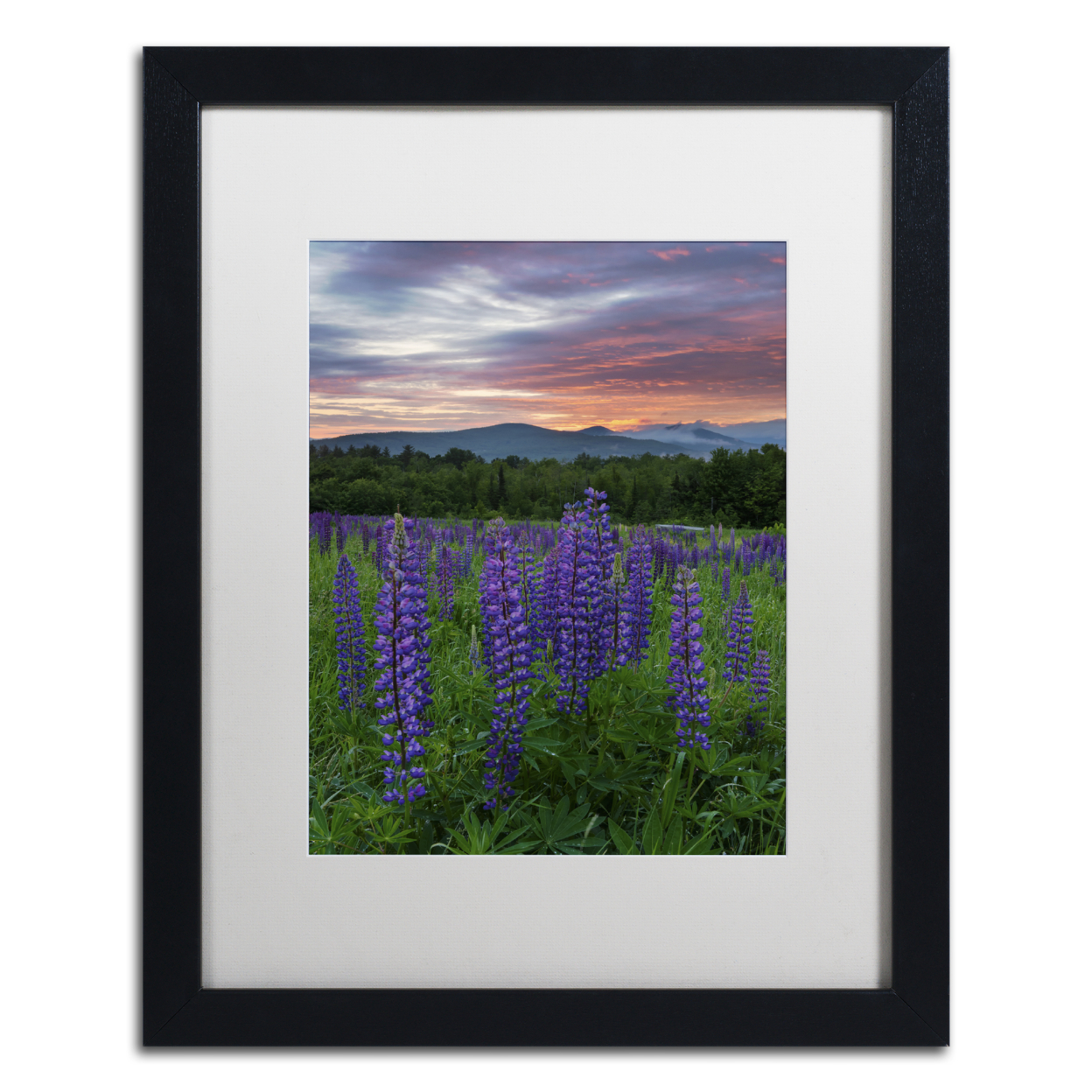Michael Blanchette Photography 'Fire In The Sky' Black Wooden Framed Art 18 X 22 Inches