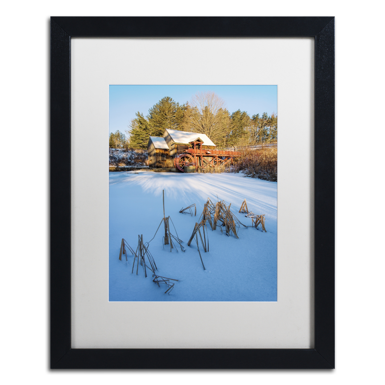 Michael Blanchette Photography 'Pond Grasses' Black Wooden Framed Art 18 X 22 Inches