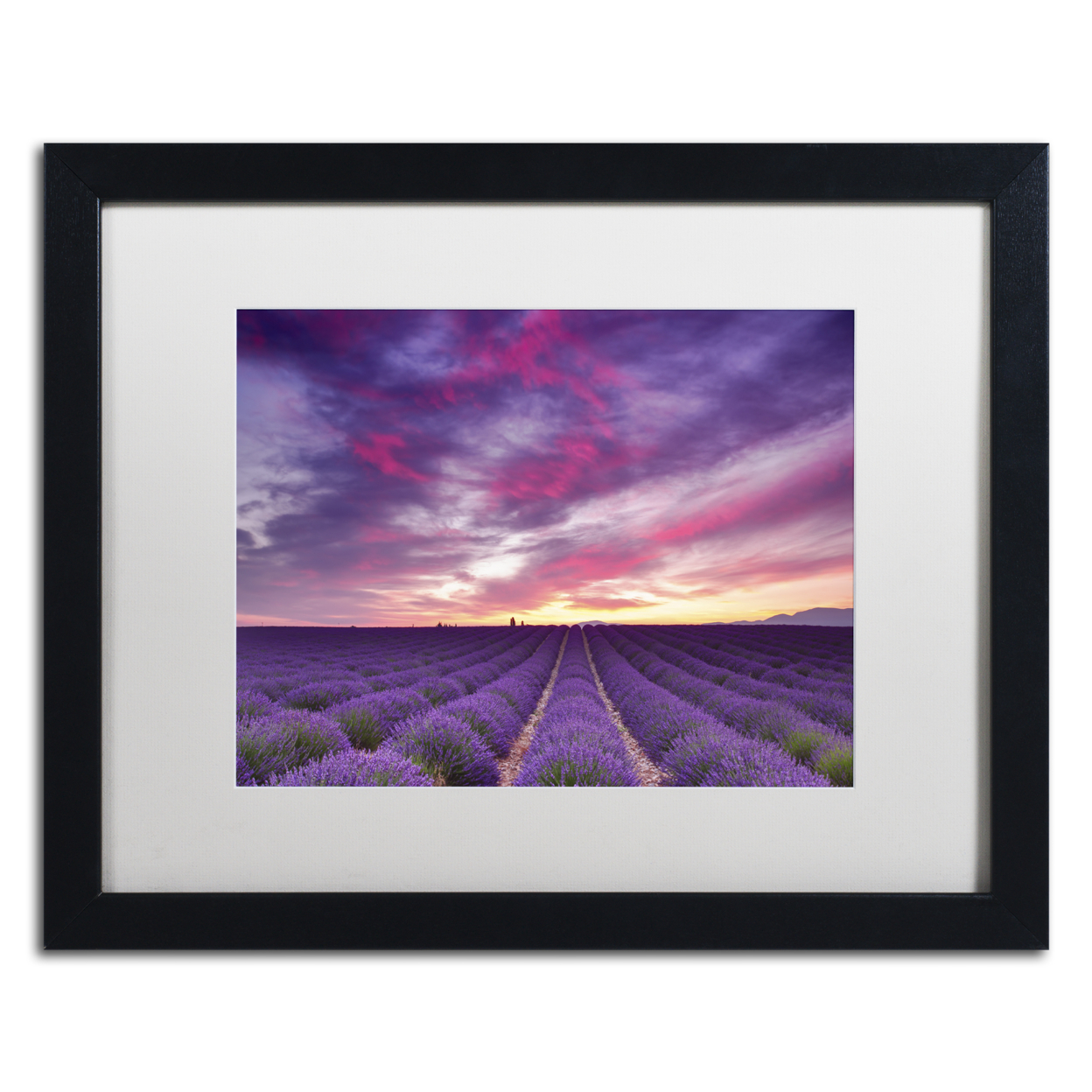 Michael Blanchette Photography 'Pink And Purple' Black Wooden Framed Art 18 X 22 Inches
