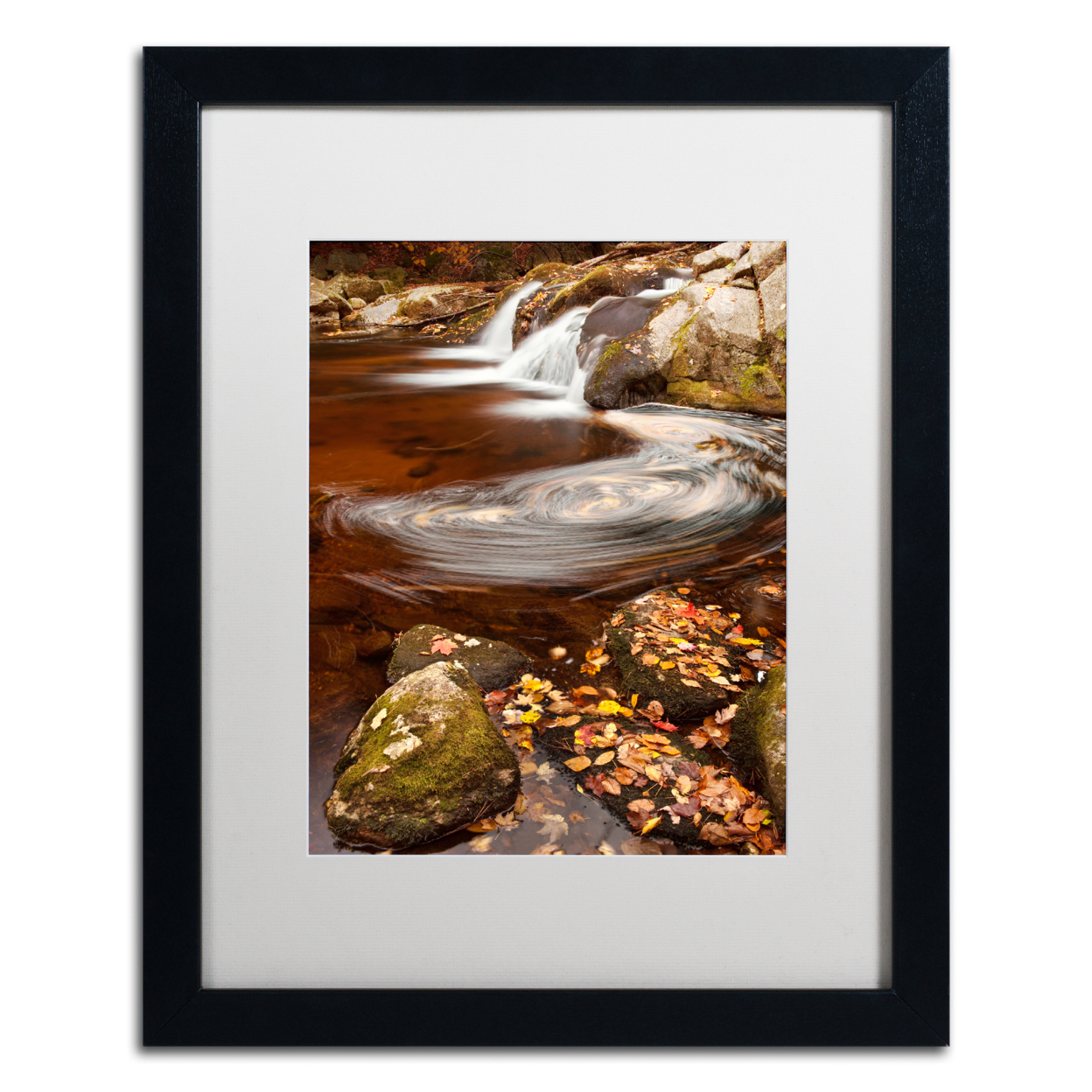 Michael Blanchette Photography 'Autumn Swirly' Black Wooden Framed Art 18 X 22 Inches