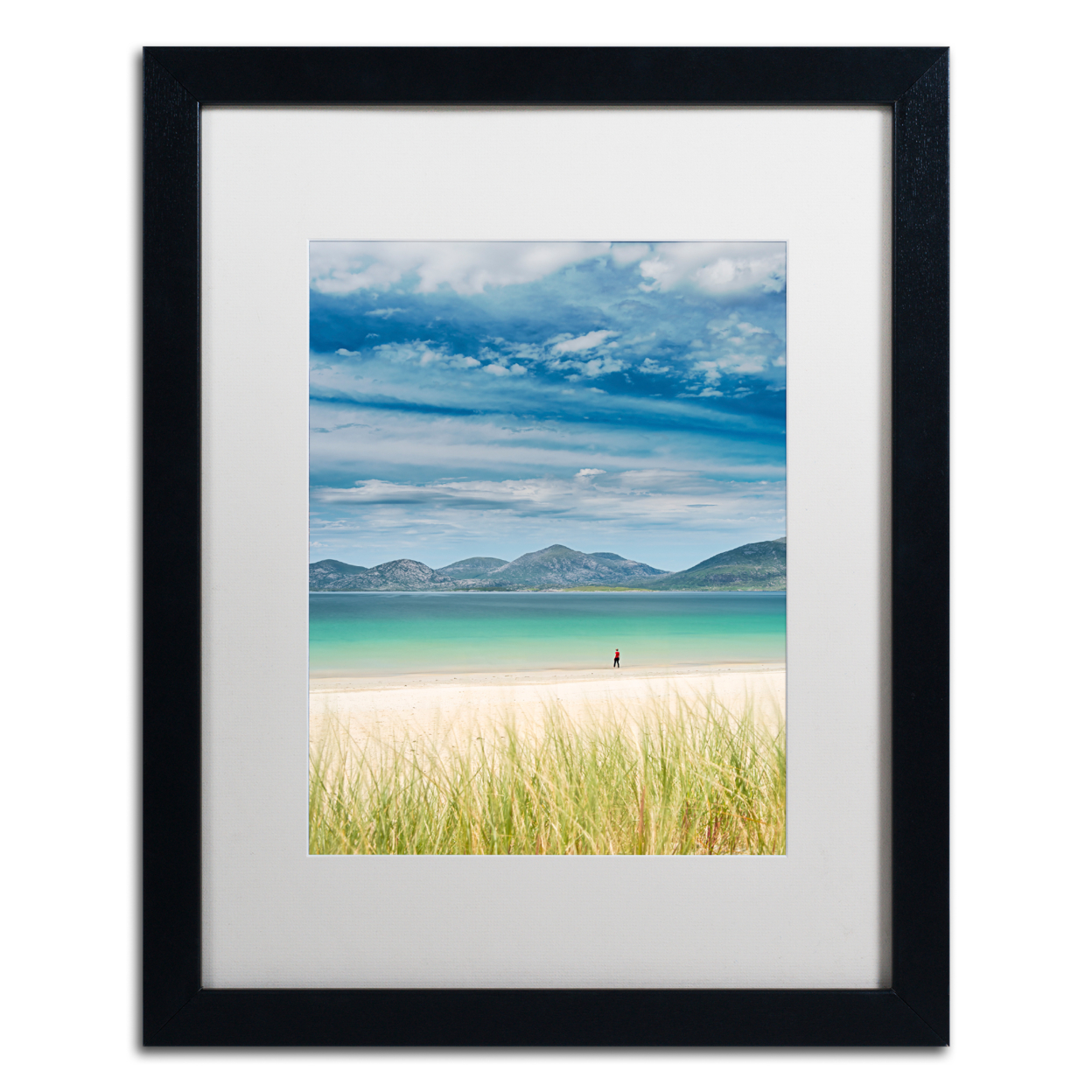 Michael Blanchette Photography 'Cautious Swimmer' Black Wooden Framed Art 18 X 22 Inches
