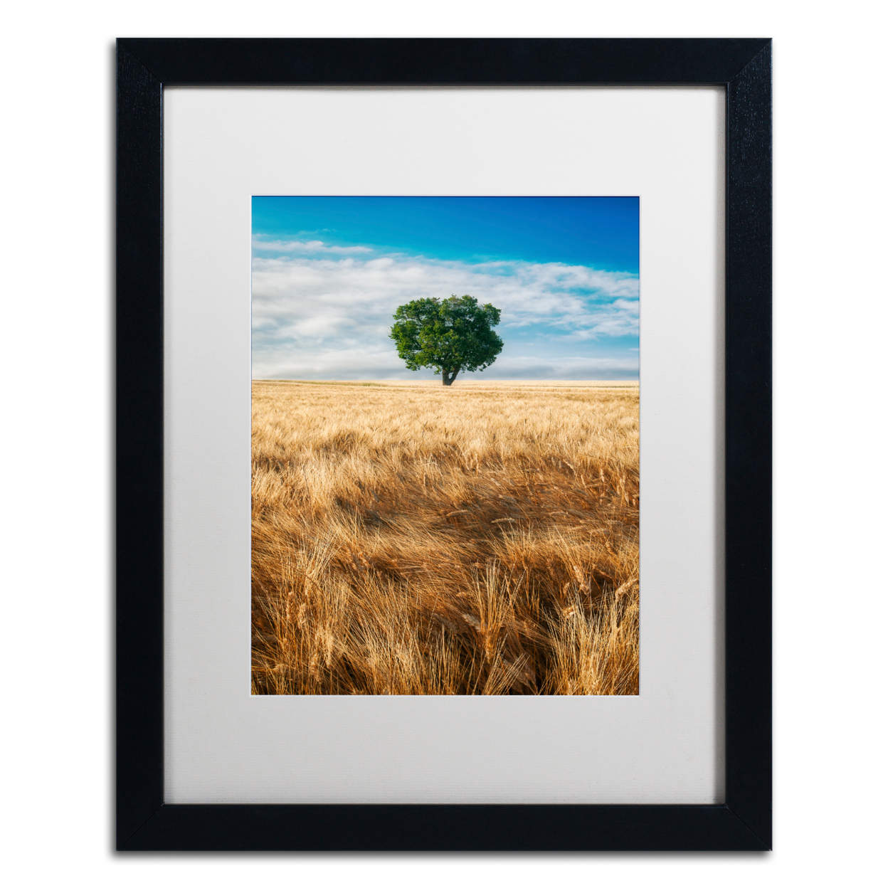 Michael Blanchette Photography 'Wheat Field Tree' Black Wooden Framed Art 18 X 22 Inches