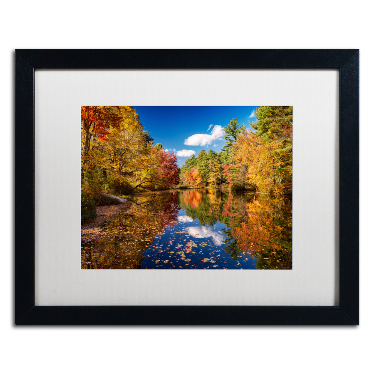 Michael Blanchette Photography 'River Mirage' Black Wooden Framed Art 18 X 22 Inches
