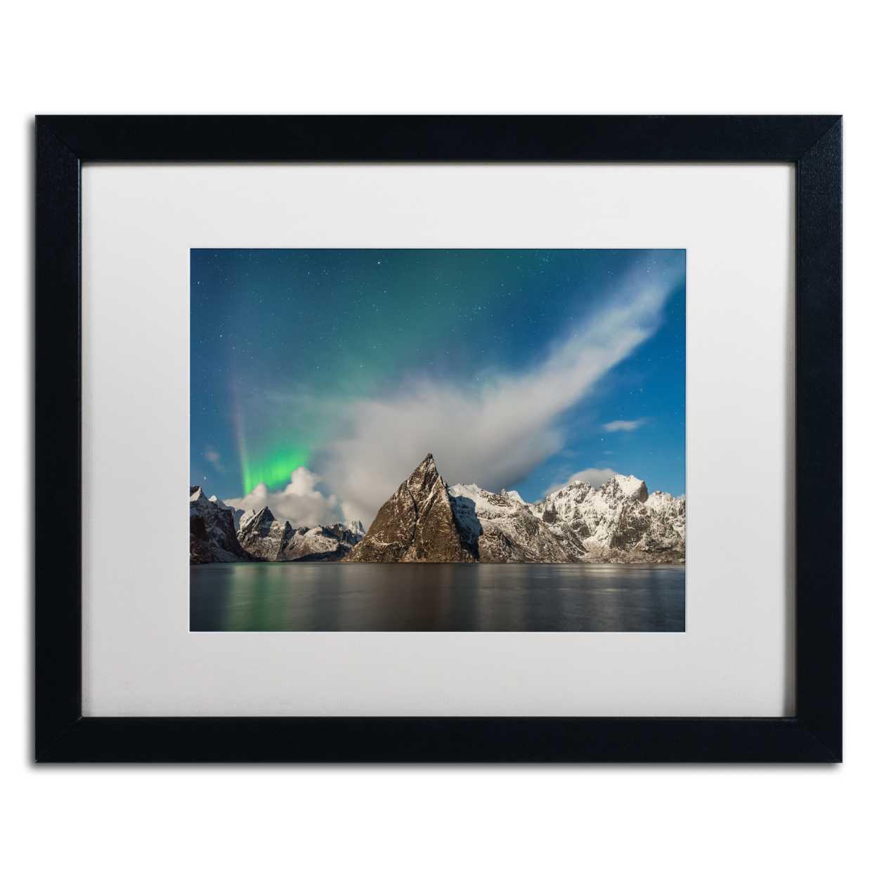 Michael Blanchette Photography 'Plumes' Black Wooden Framed Art 18 X 22 Inches