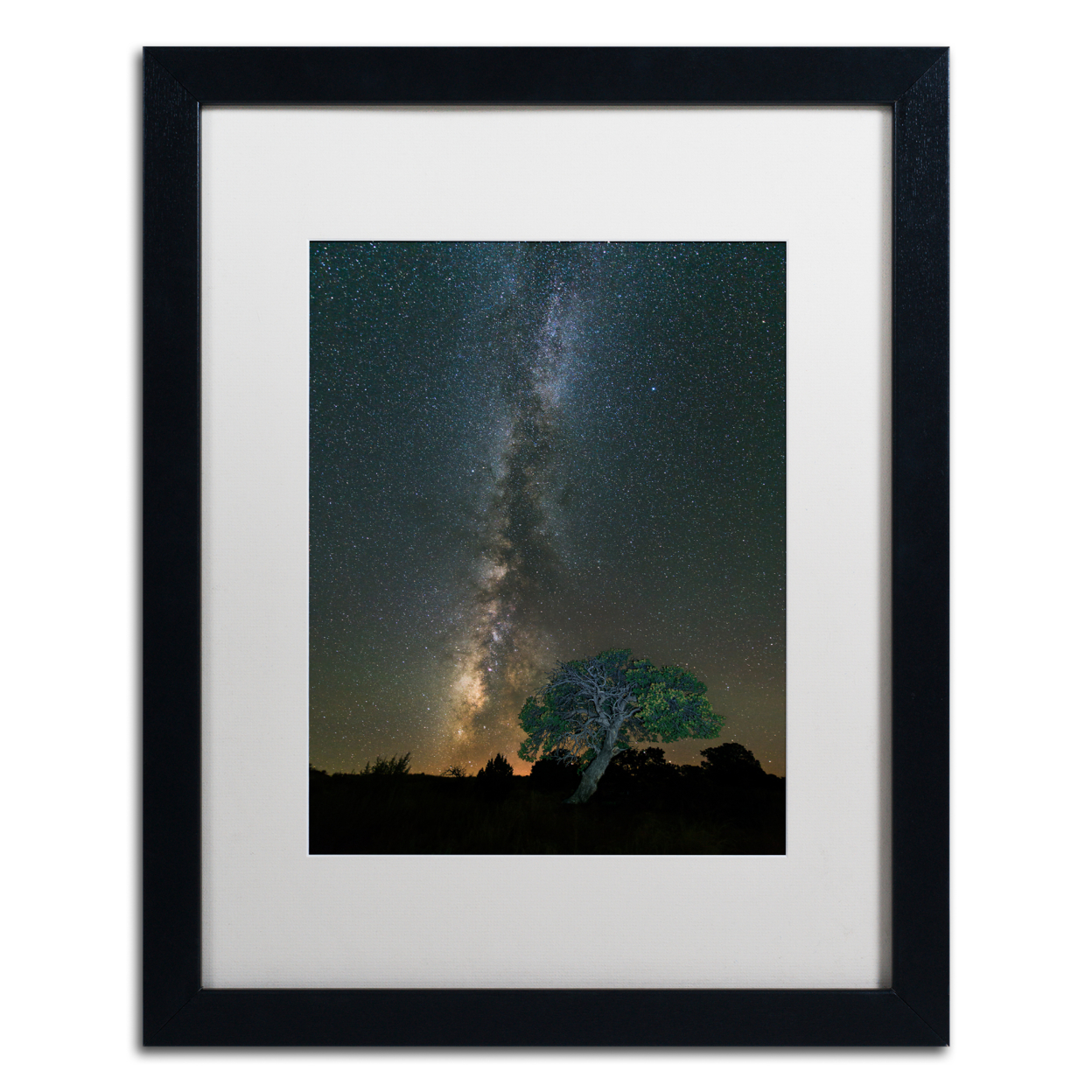 Michael Blanchette Photography 'Stars Over Pinon' Black Wooden Framed Art 18 X 22 Inches