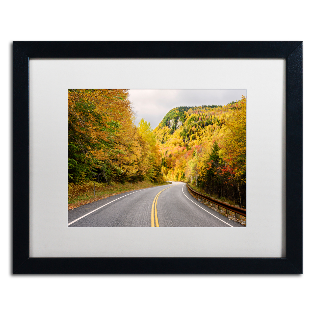 Michael Blanchette Photography 'Way To Foliage' Black Wooden Framed Art 18 X 22 Inches