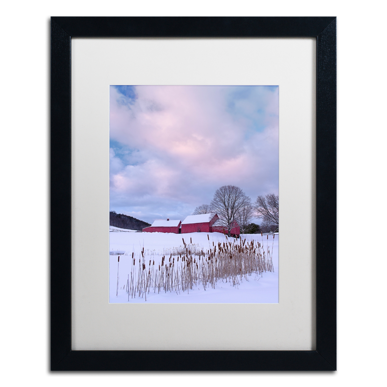 Michael Blanchette Photography 'Cat O'Nine In Snow' Black Wooden Framed Art 18 X 22 Inches