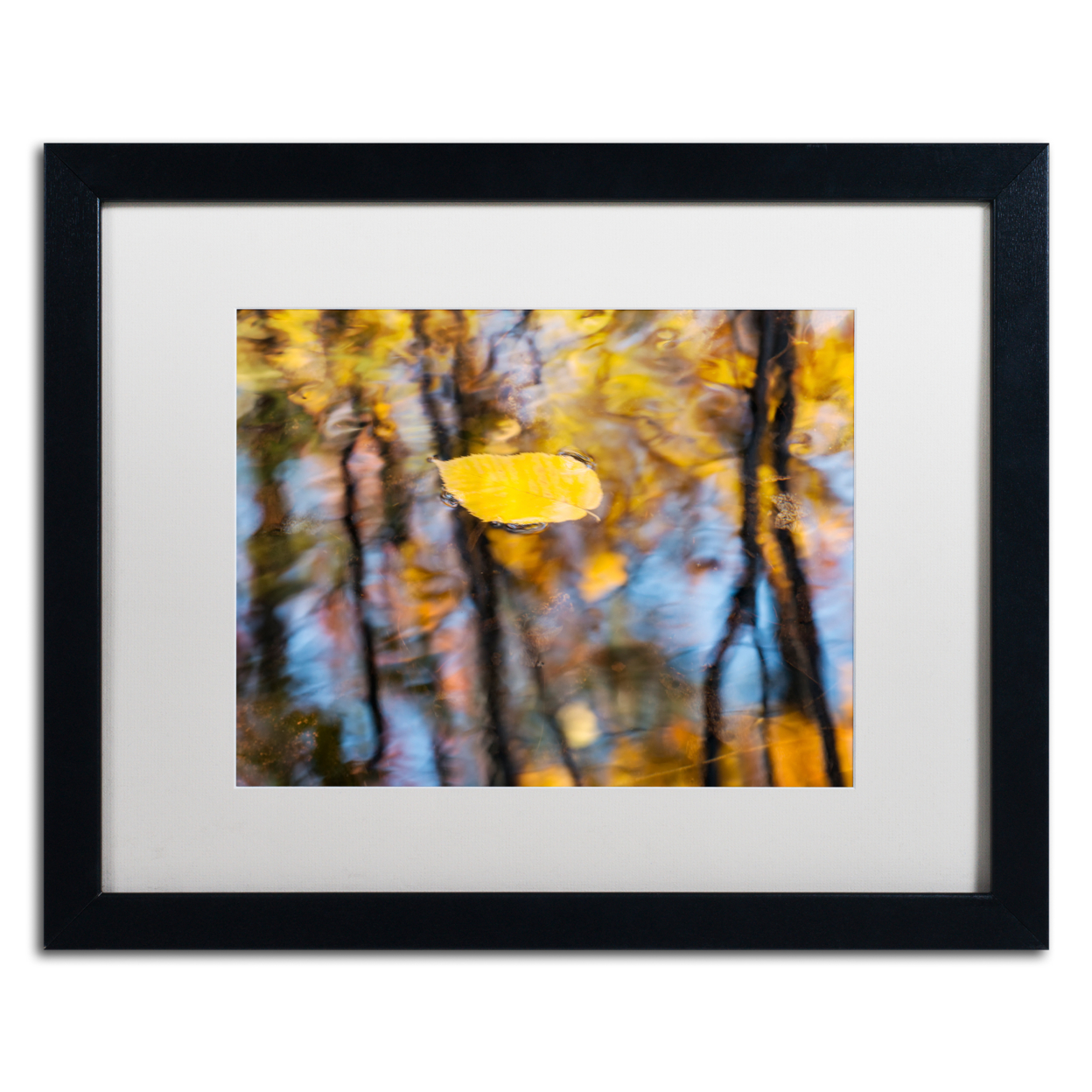 Michael Blanchette Photography 'Floater' Black Wooden Framed Art 18 X 22 Inches