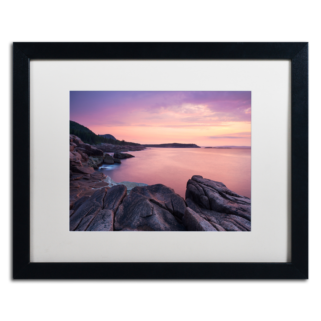 Michael Blanchette Photography 'Pink Dawn' Black Wooden Framed Art 18 X 22 Inches