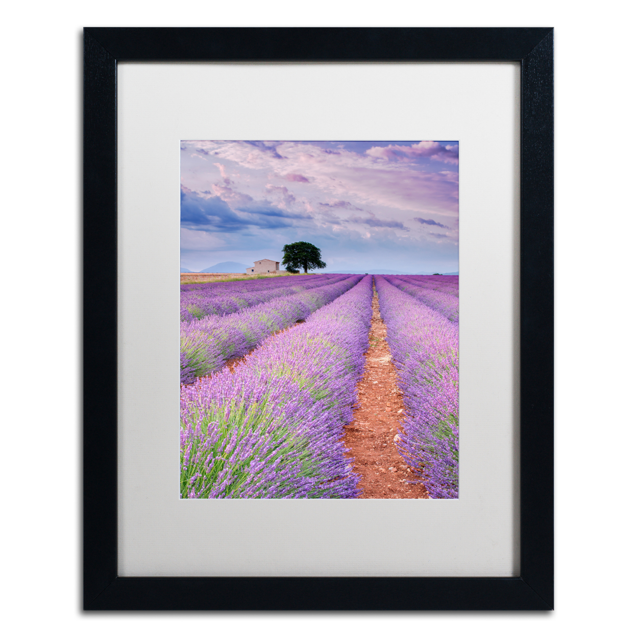Michael Blanchette Photography 'Rows Of Lavender' Black Wooden Framed Art 18 X 22 Inches