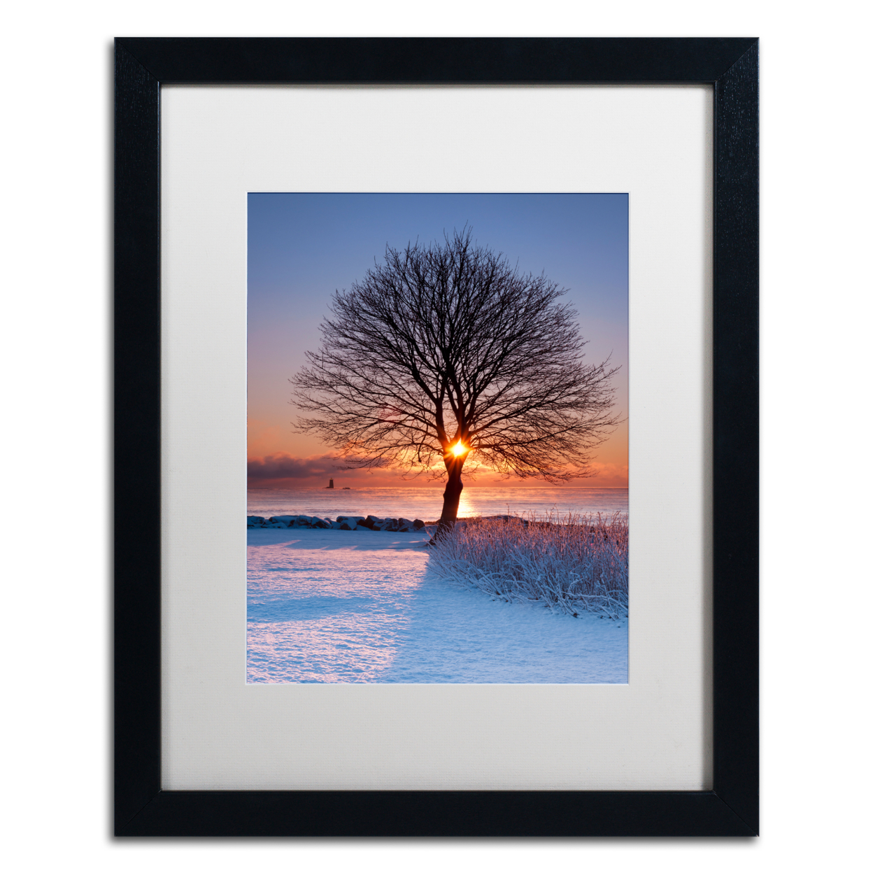 Michael Blanchette Photography 'Sun In Tree' Black Wooden Framed Art 18 X 22 Inches