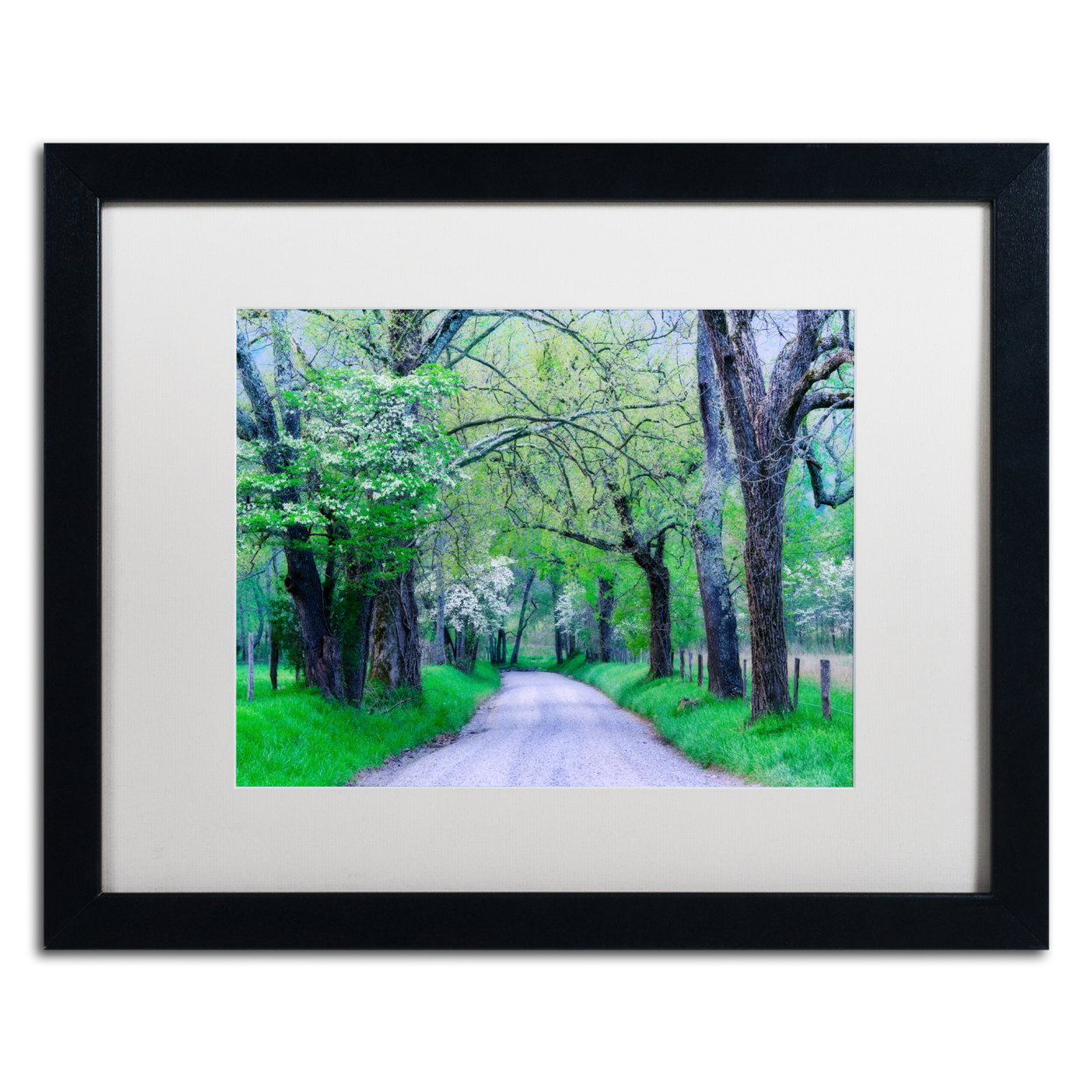 Michael Blanchette Photography 'Cades Cove Lane' Black Wooden Framed Art 18 X 22 Inches