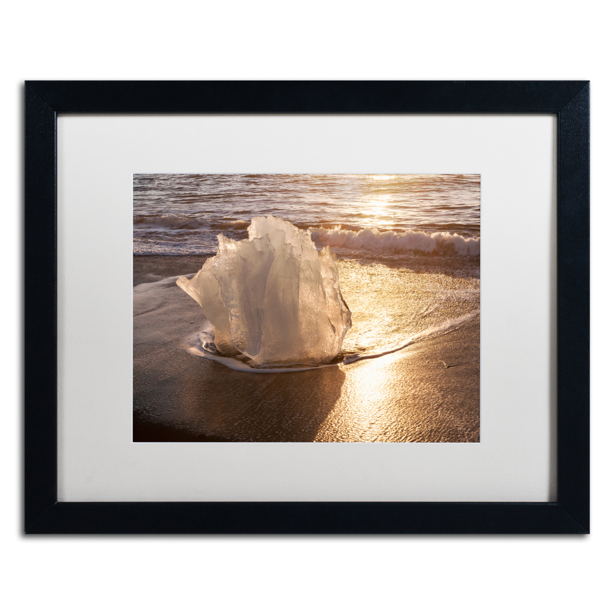 Michael Blanchette Photography 'Ice Tulip' Black Wooden Framed Art 18 X 22 Inches