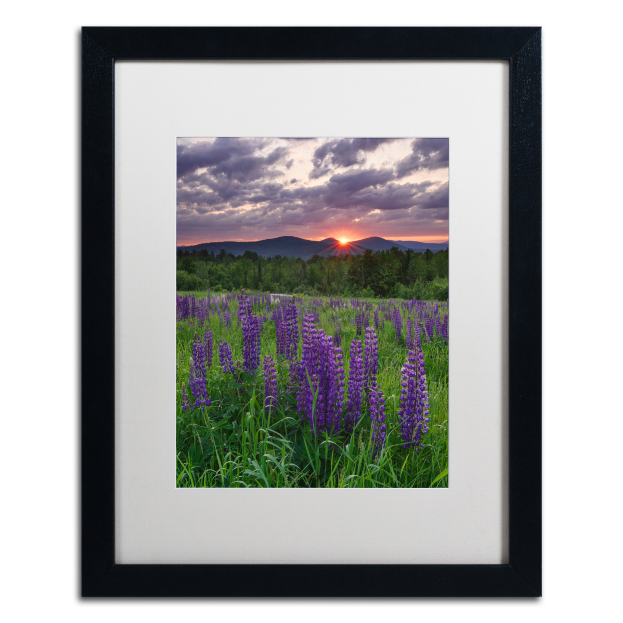 Michael Blanchette Photography 'Moody Sunrise' Black Wooden Framed Art 18 X 22 Inches