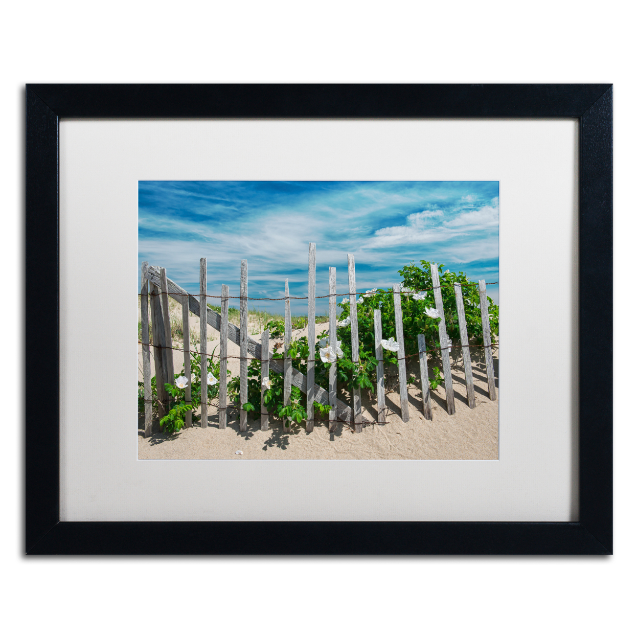 Michael Blanchette Photography 'White Beach Roses' Black Wooden Framed Art 18 X 22 Inches