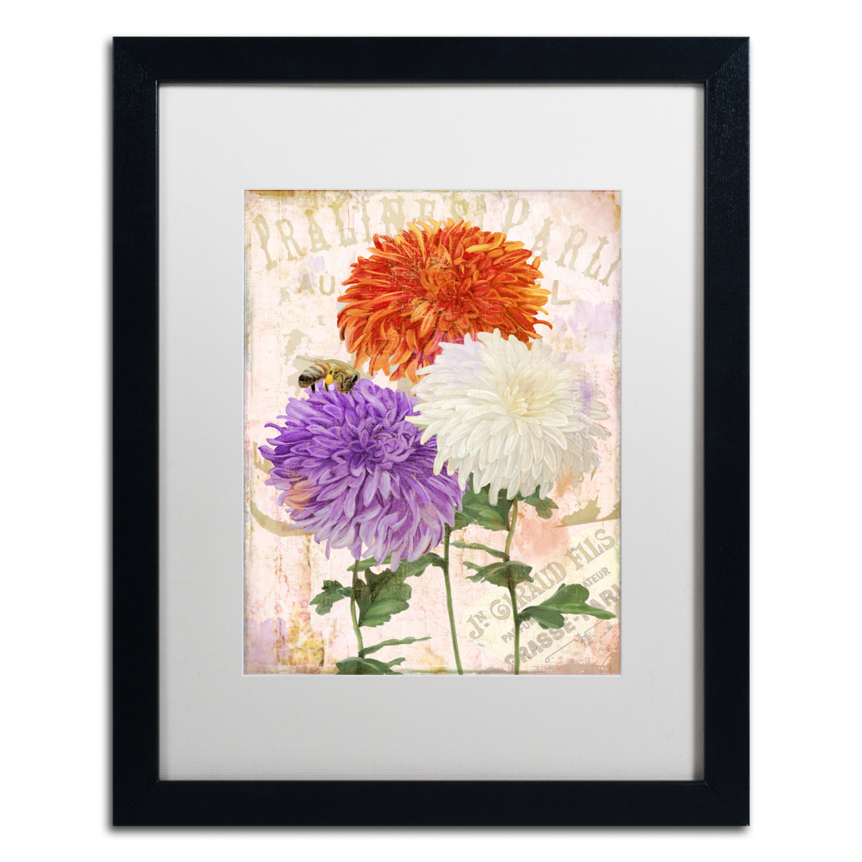Color Bakery 'Chrysanthemums' Black Wooden Framed Art 18 X 22 Inches
