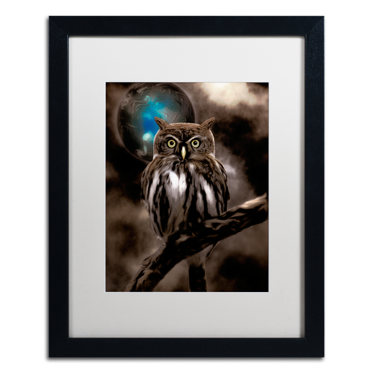 Color Bakery 'Night Owl' Black Wooden Framed Art 18 X 22 Inches