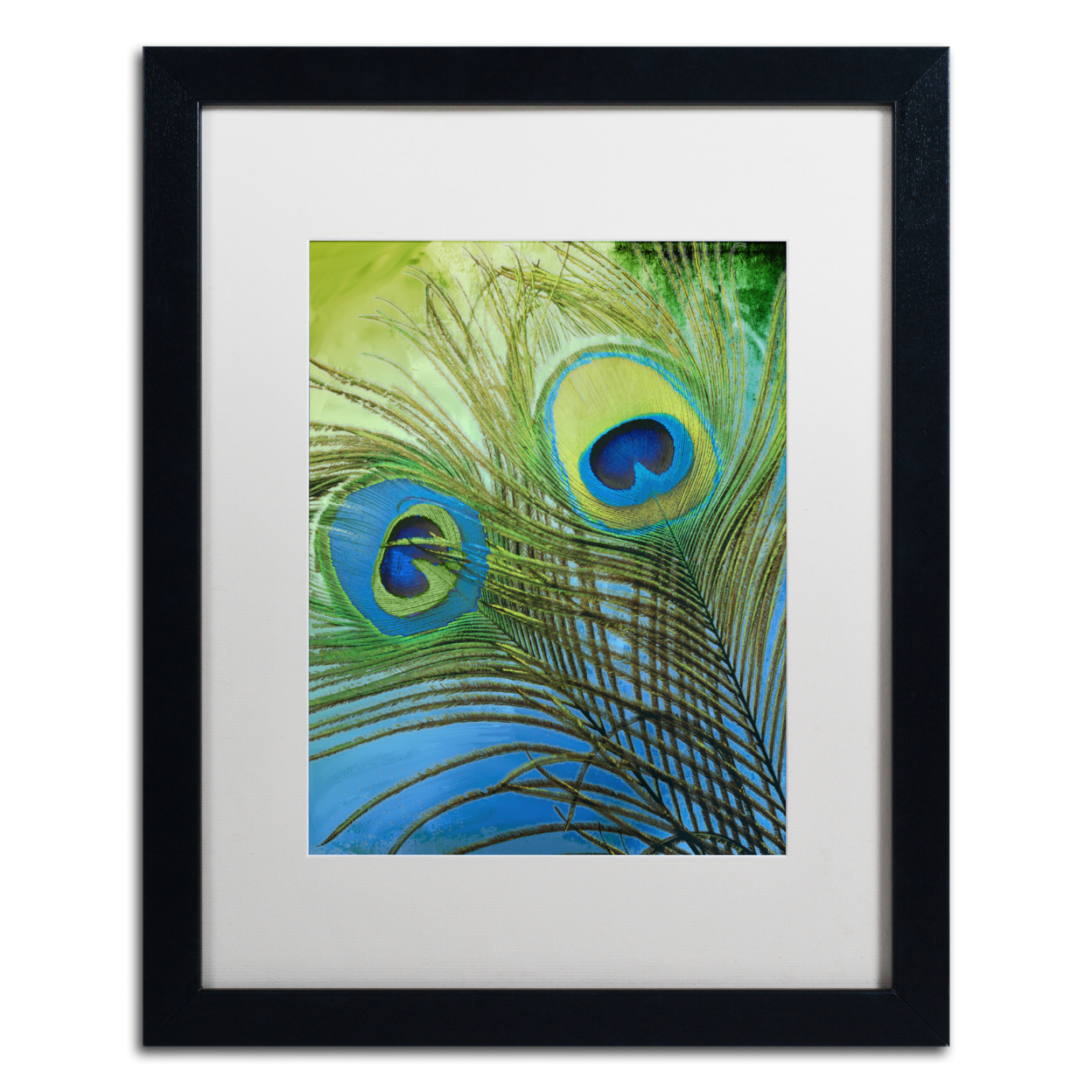 Color Bakery 'Peacock Candy I' Black Wooden Framed Art 18 X 22 Inches