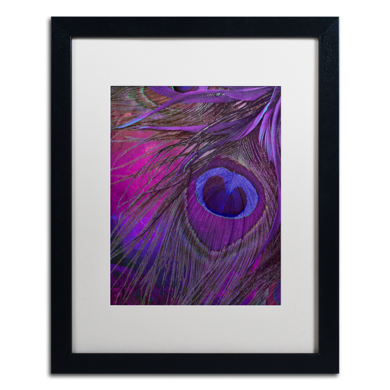 Color Bakery 'Peacock Candy IV' Black Wooden Framed Art 18 X 22 Inches
