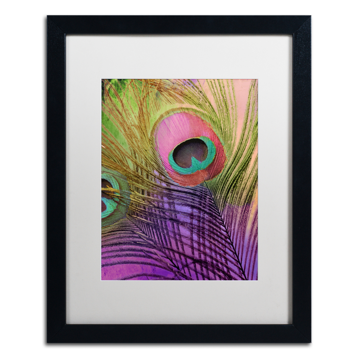 Color Bakery 'Peacock Candy III' Black Wooden Framed Art 18 X 22 Inches