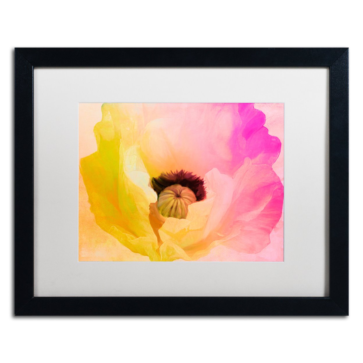 Color Bakery 'Poppy Gradient II' Black Wooden Framed Art 18 X 22 Inches