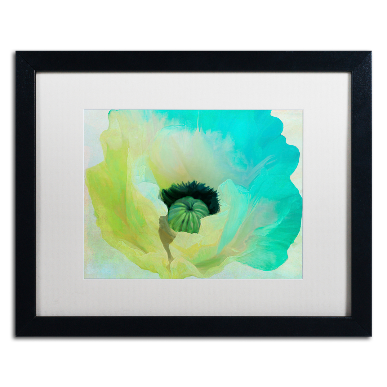 Color Bakery 'Poppy Gradient I' Black Wooden Framed Art 18 X 22 Inches
