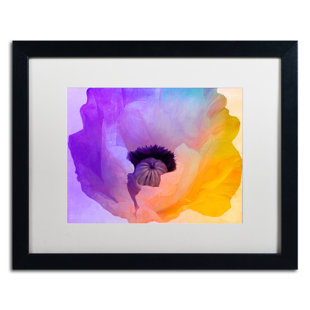 Color Bakery 'Poppy Gradient III' Black Wooden Framed Art 18 X 22 Inches