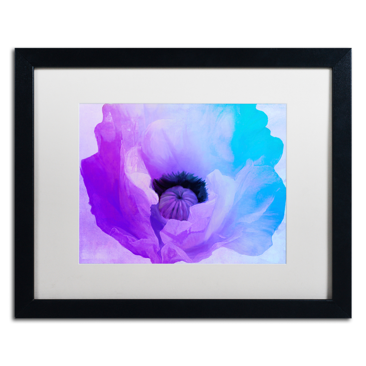 Color Bakery 'Poppy Gradient IV' Black Wooden Framed Art 18 X 22 Inches