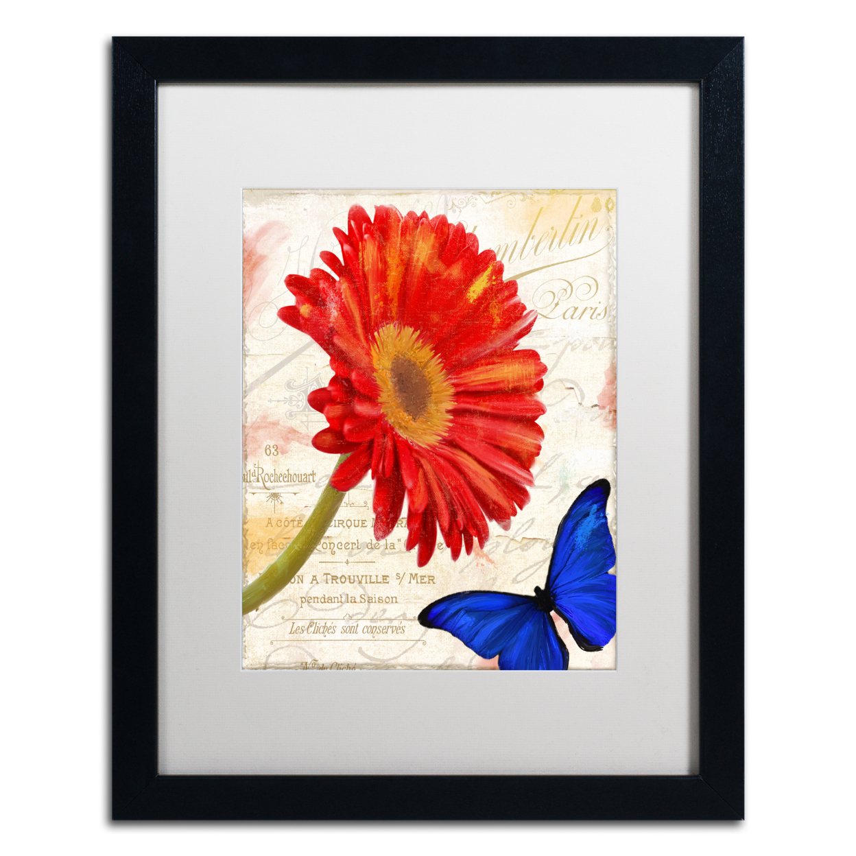 Color Bakery 'Gerbera Daisy' Black Wooden Framed Art 18 X 22 Inches