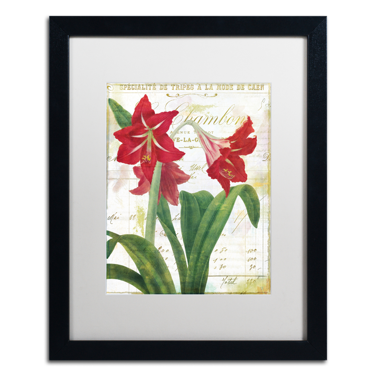 Color Bakery 'Peppermint Amaryllis' Black Wooden Framed Art 18 X 22 Inches
