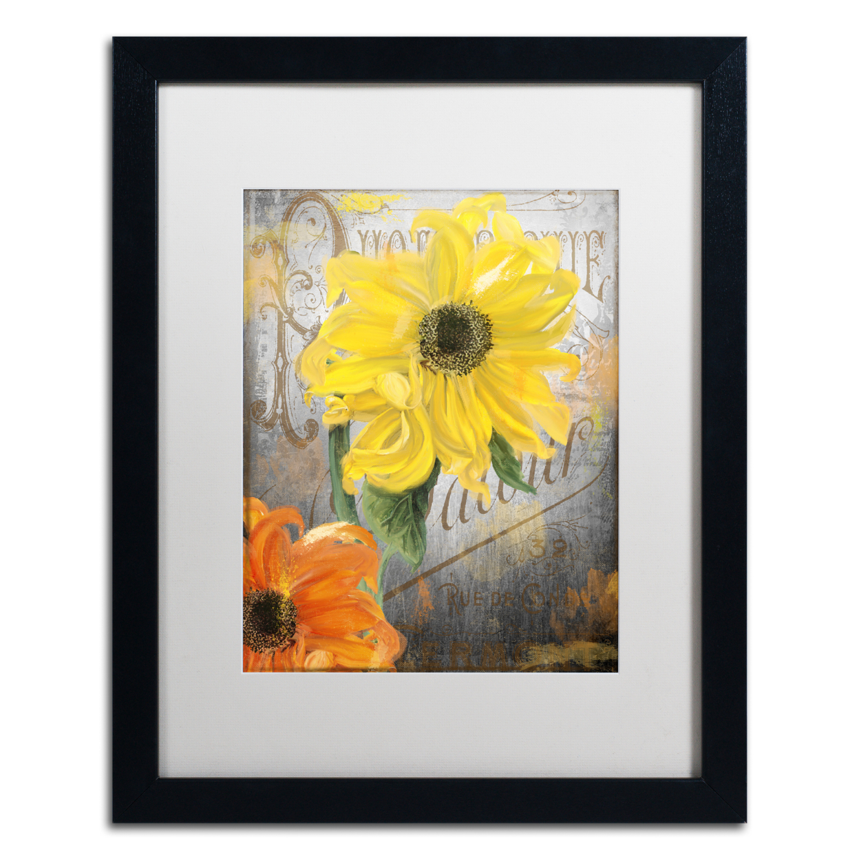 Color Bakery 'Sunflower Studio' Black Wooden Framed Art 18 X 22 Inches