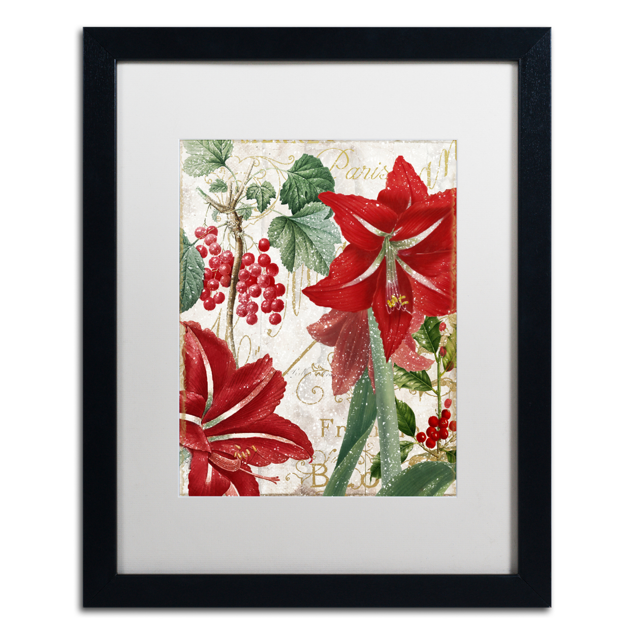Color Bakery 'Amaryllis' Black Wooden Framed Art 18 X 22 Inches