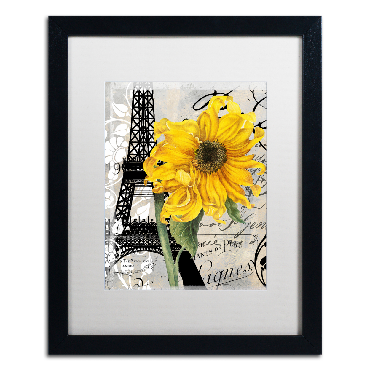 Color Bakery 'Paris Blanc' Black Wooden Framed Art 18 X 22 Inches