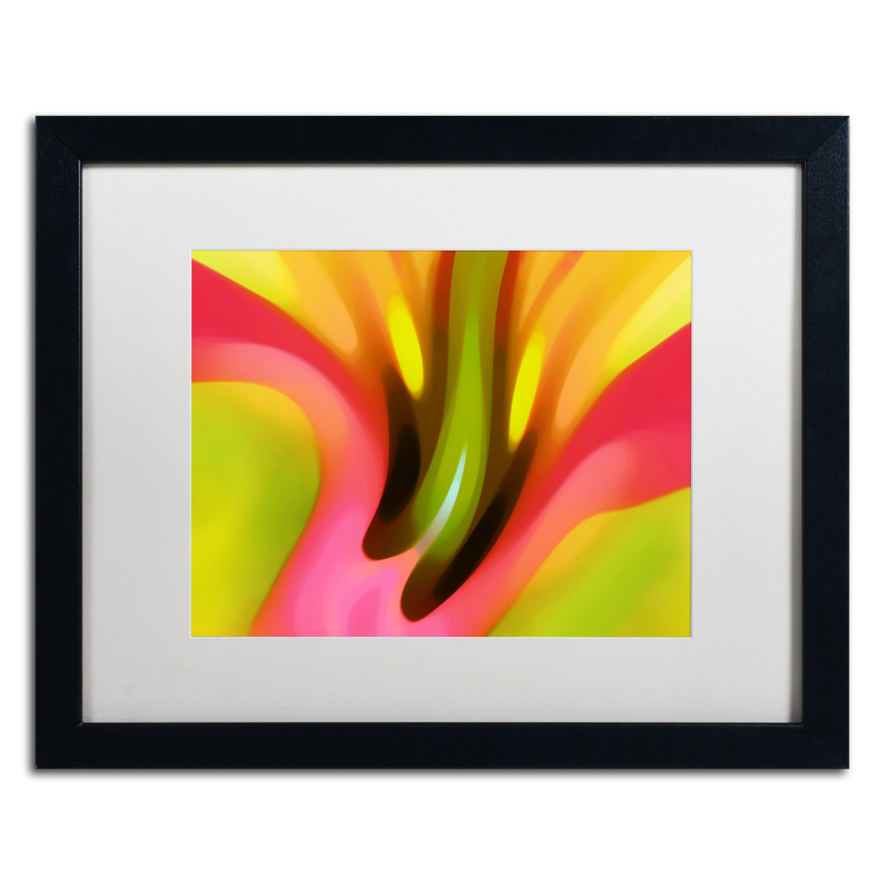 Amy Vangsgard 'Pink Lily' Black Wooden Framed Art 18 X 22 Inches