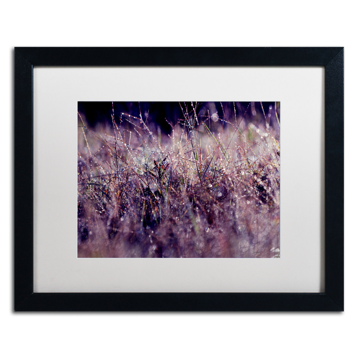 Beata Czyzowska Young 'Purple Rain' Black Wooden Framed Art 18 X 22 Inches