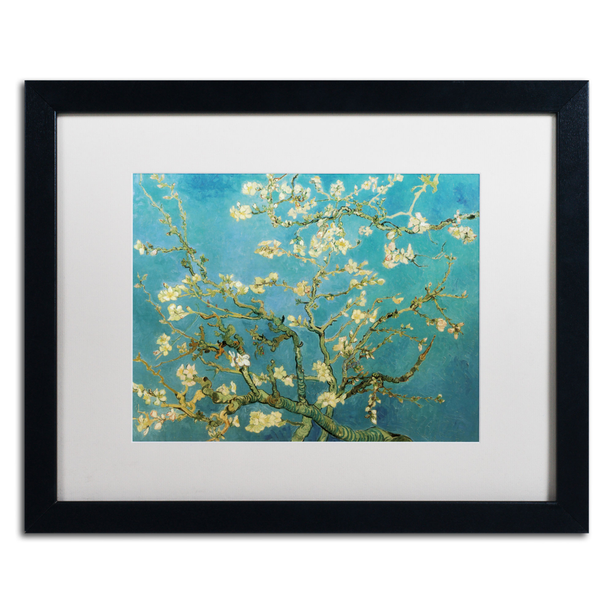 Vincent Van Gogh 'Almond Branches' Black Wooden Framed Art 18 X 22 Inches