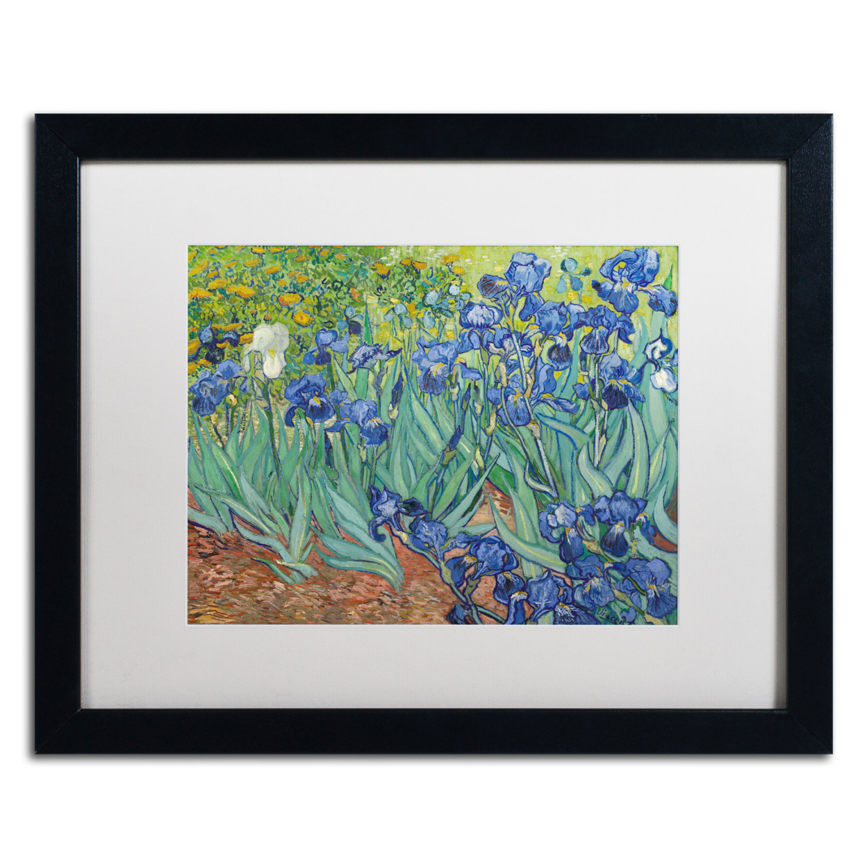 Vincent Van Gogh 'Irises, 1889' Black Wooden Framed Art 18 X 22 Inches