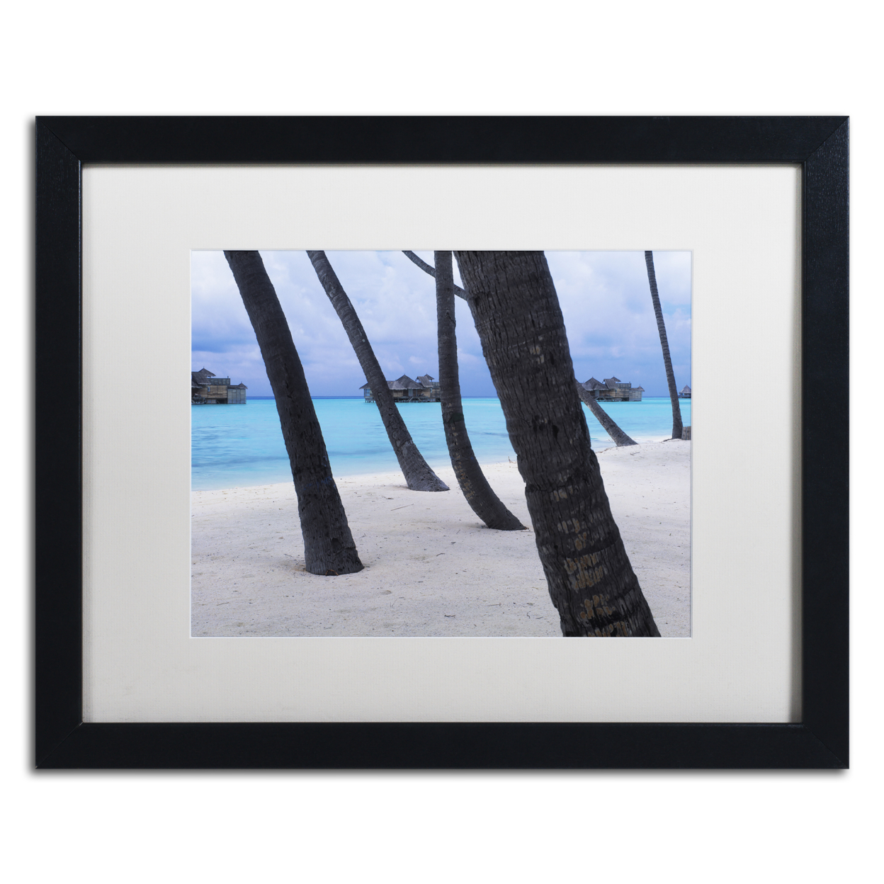 David Evans 'Beach Palms-Maldives' Black Wooden Framed Art 18 X 22 Inches