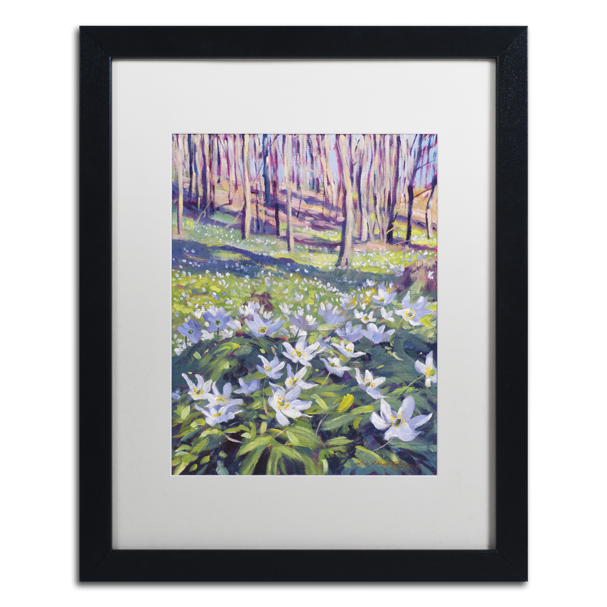 David Lloyd Glover 'Anemones In The Meadow' Black Wooden Framed Art 18 X 22 Inches
