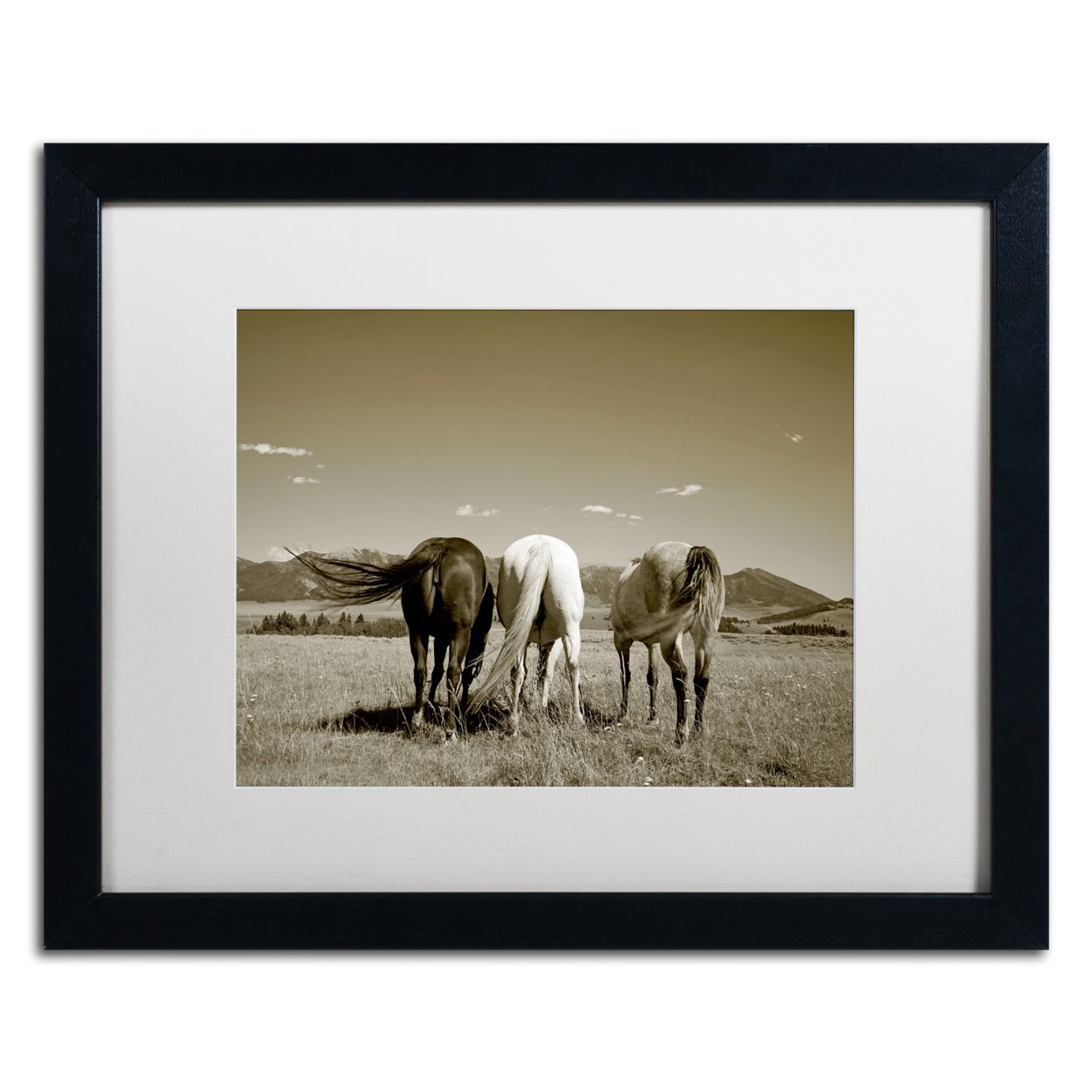 Preston 'Three Horses' Black Wooden Framed Art 18 X 22 Inches