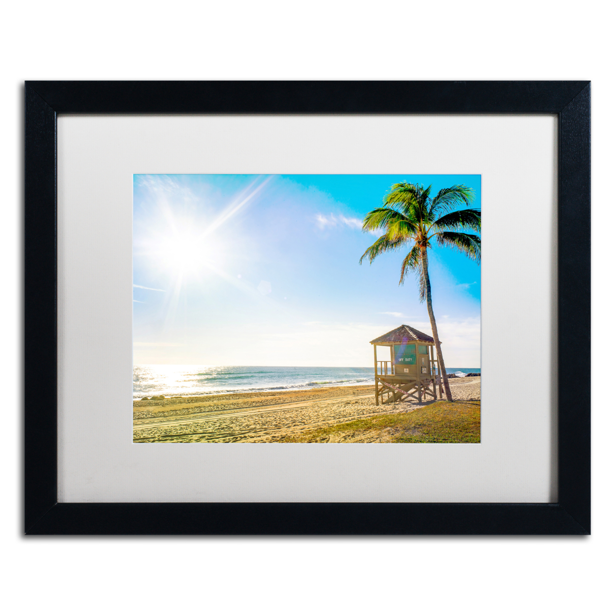 Preston 'Florida Beach Palm' Black Wooden Framed Art 18 X 22 Inches