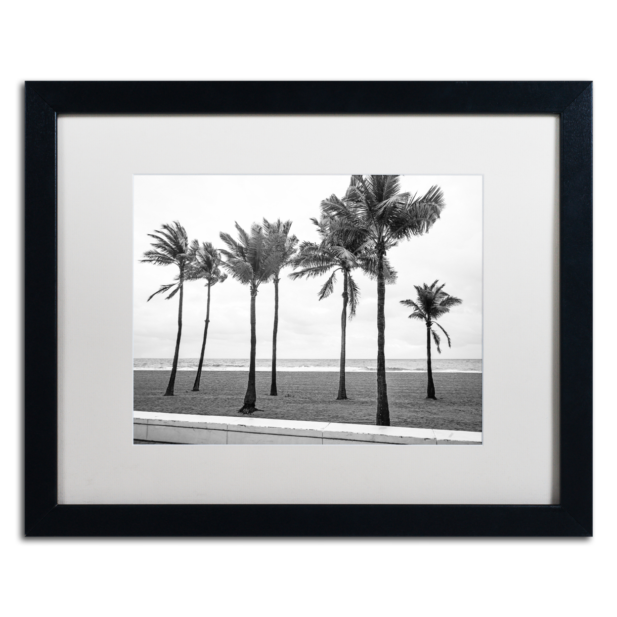 Preston 'Florida BW Beach Palms' Black Wooden Framed Art 18 X 22 Inches
