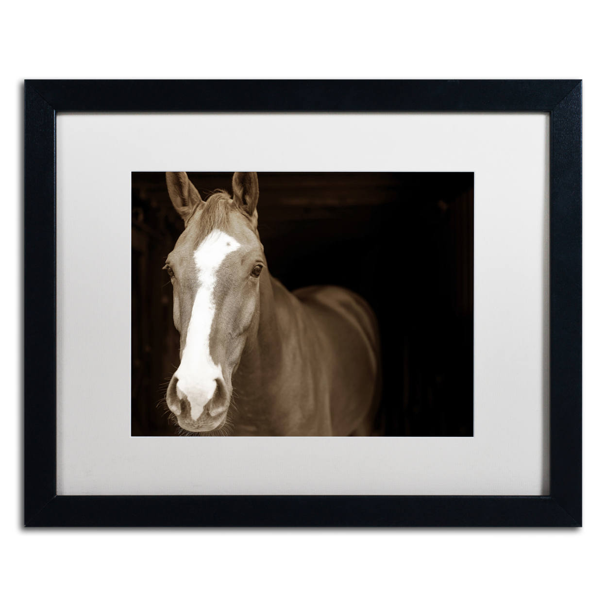 Preston 'Horse Portrait' Black Wooden Framed Art 18 X 22 Inches