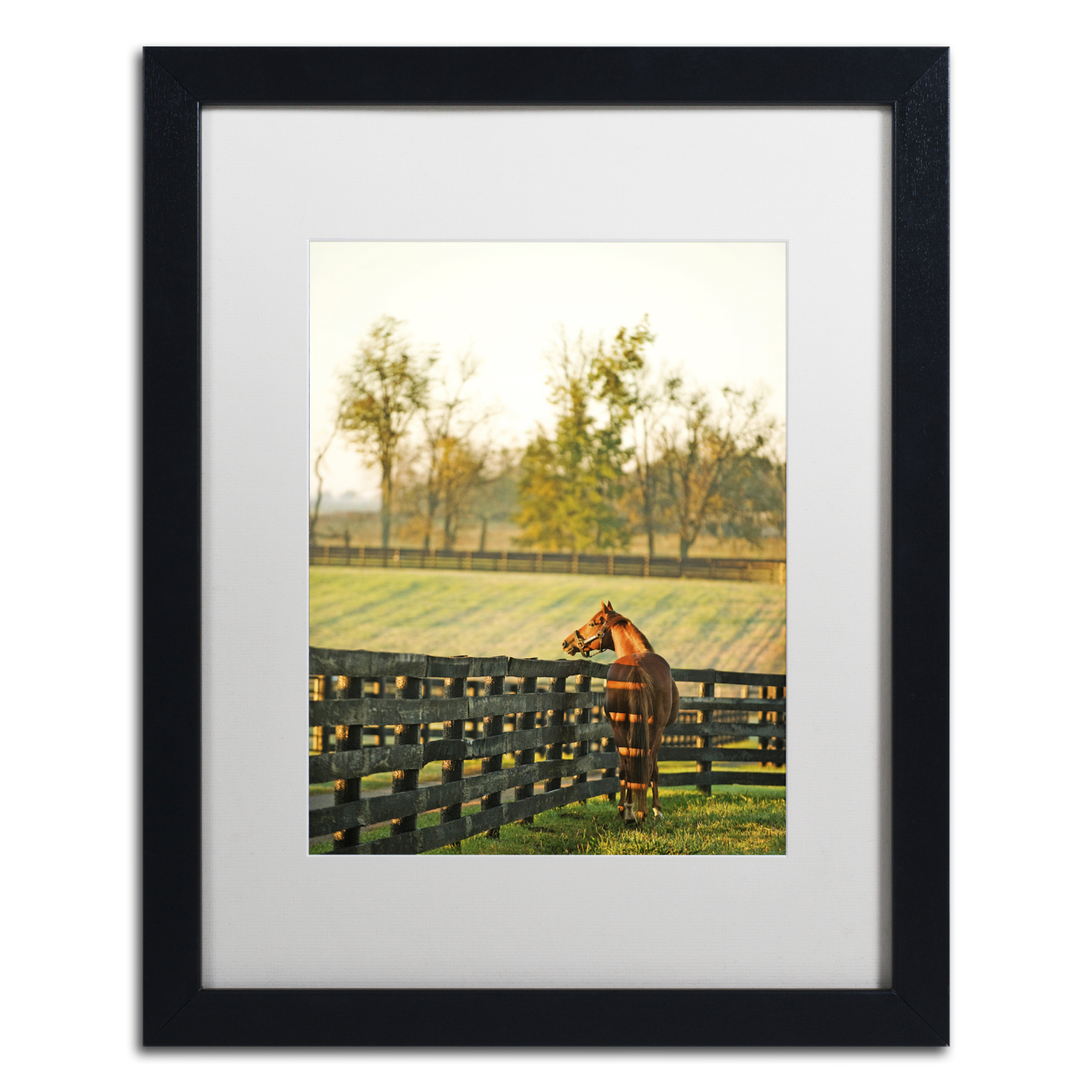 Preston 'Kentucky Horse Sunrise' Black Wooden Framed Art 18 X 22 Inches