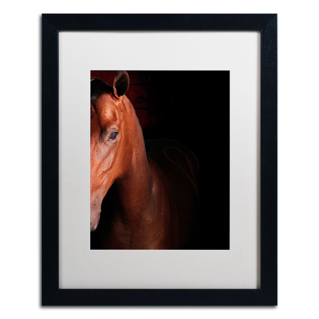 Preston 'Kentucky Horse Intense' Black Wooden Framed Art 18 X 22 Inches