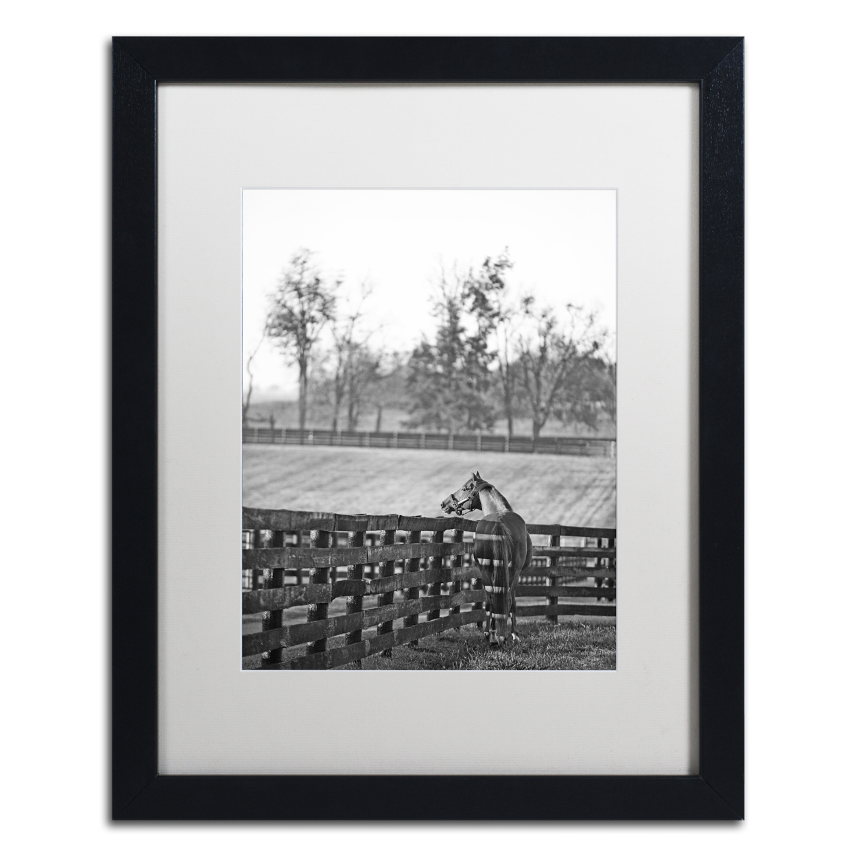 Preston 'Kentucky Horse Sunrise BW' Black Wooden Framed Art 18 X 22 Inches