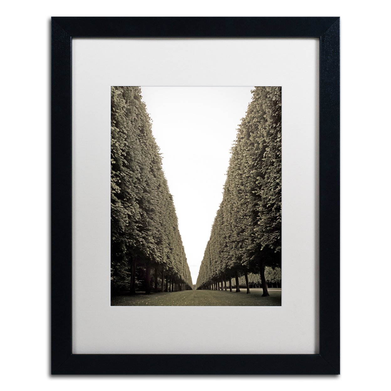 Preston 'Parisian Versailles Trees' Black Wooden Framed Art 18 X 22 Inches
