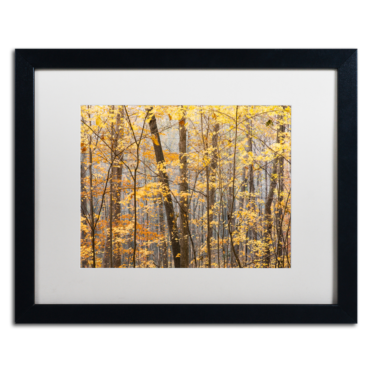 Jason Shaffer 'Autumn Treeline' Black Wooden Framed Art 18 X 22 Inches