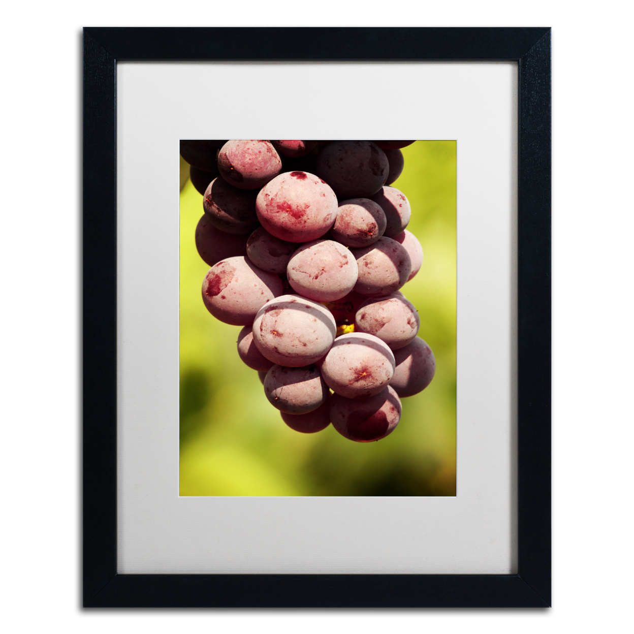 Jason Shaffer 'Homegrown Grapes' Black Wooden Framed Art 18 X 22 Inches