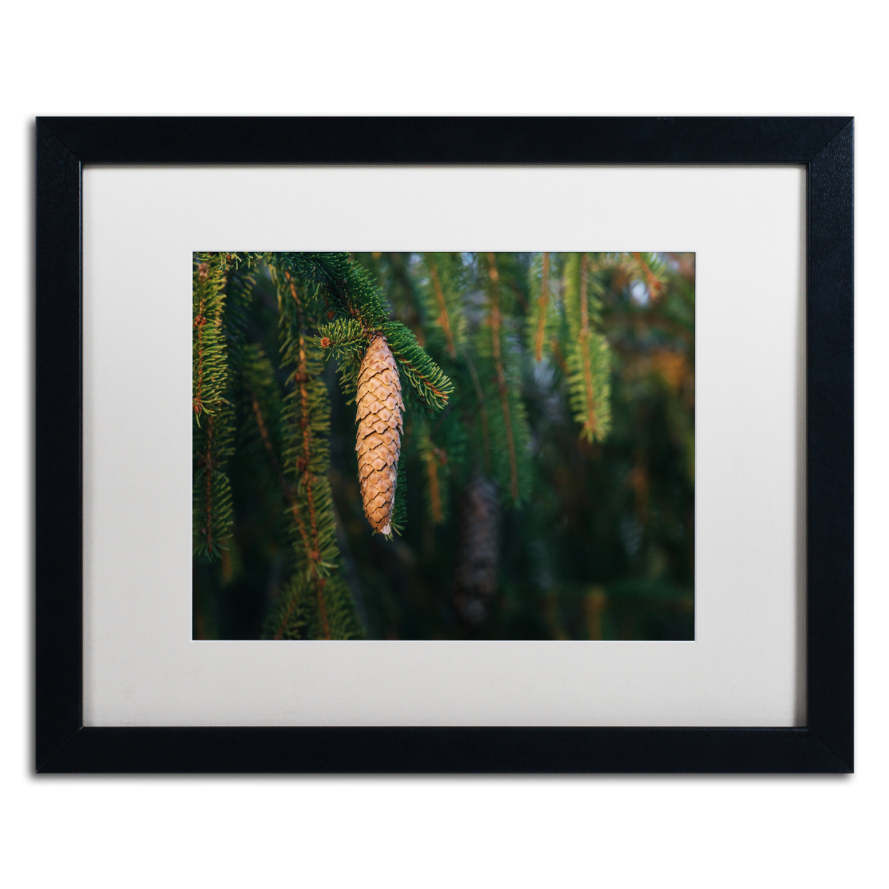 Jason Shaffer 'Pine' Black Wooden Framed Art 18 X 22 Inches